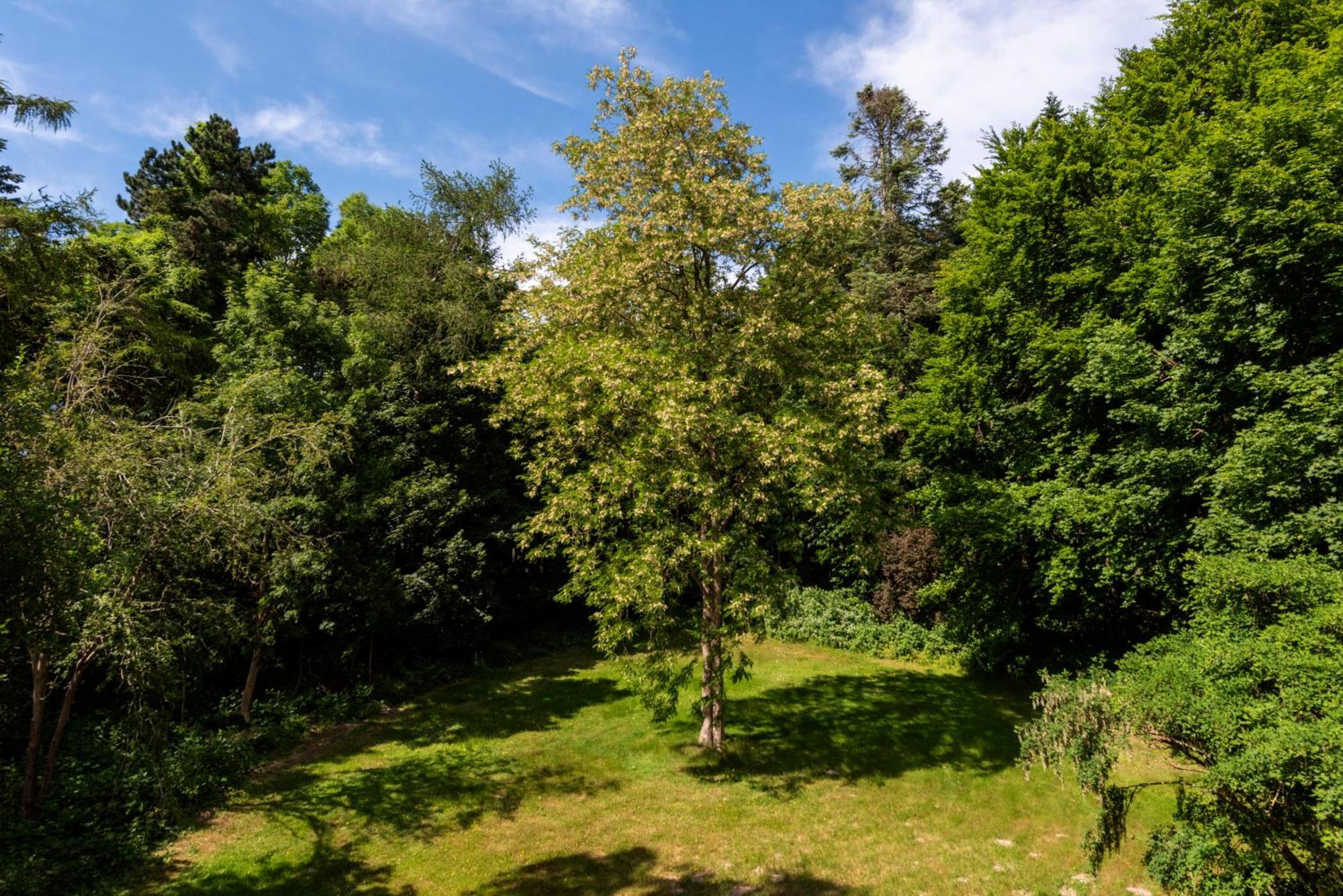 Precise Resort Ruegen - Hotel & Splash Erlebniswelt Sagard Zewnętrze zdjęcie
